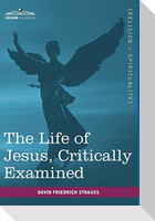 The Life of Jesus, Critically Examined