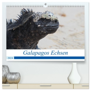 Reeh, Johannes. Galapagos Echsen (hochwertiger Premium Wandkalender 2024 DIN A2 quer), Kunstdruck in Hochglanz - Echsen auf den Galapagos Inseln in Ecuador. Calvendo, 2023.