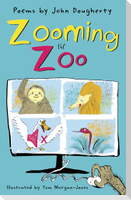 Zooming the Zoo