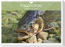 Faszination Angeln und Fischen (Wandkalender 2024 DIN A4 quer), CALVENDO Monatskalender