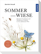 Sommerwiese