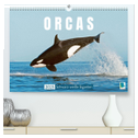 Orcas: Schwarz-weiße Giganten (hochwertiger Premium Wandkalender 2025 DIN A2 quer), Kunstdruck in Hochglanz