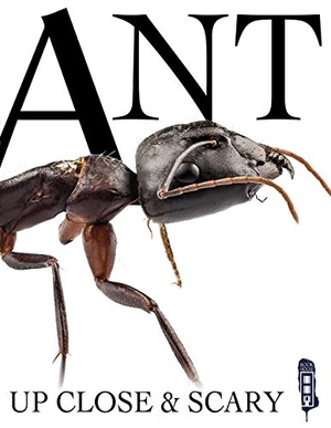 Miller, David. Ant. Book House, 2017.