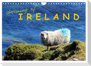 dreaming of IRELAND (Wall Calendar 2025 DIN A4 landscape), CALVENDO 12 Month Wall Calendar