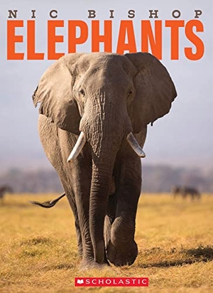 Bishop, Nic. Nic Bishop Elephants. Scholastic Inc., 2022.