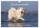 Glücksmomente - Unterwegs mit meinem Islandhund (Wandkalender 2024 DIN A4 quer), CALVENDO Monatskalender