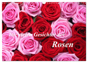 Die vielen Gesichter der Rosen (Wandkalender 2025 DIN A3 quer), CALVENDO Monatskalender