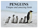 Penguins Unique and amazing birds (Wall Calendar 2024 DIN A3 landscape), CALVENDO 12 Month Wall Calendar