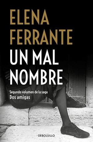 Ferrante, Elena. Un mal nombre (Dos amigas 2). DEBOLSILLO, 2018.