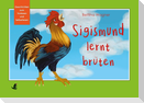 Sigismund lernt brüten