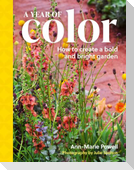 A Year of Color