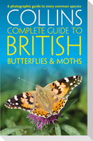 British Butterflies and Moths