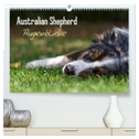 Australian Shepherd - Augenblicke (hochwertiger Premium Wandkalender 2025 DIN A2 quer), Kunstdruck in Hochglanz