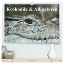 Krokodile & Alligatoren (hochwertiger Premium Wandkalender 2025 DIN A2 quer), Kunstdruck in Hochglanz