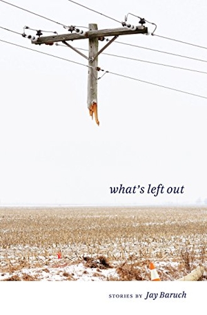 Baruch. What's Left Out - Stories. Kent State University Press, 2015.