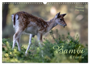 BAMBI & Familie (Wandkalender 2025 DIN A3 quer), CALVENDO Monatskalender