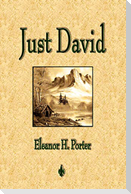 Just David
