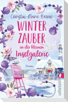 Winterzauber in der kleinen Inselgalerie