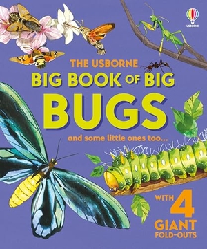 Bone, Emily. Big Book of Big Bugs. Usborne Publishing Ltd, 2025.