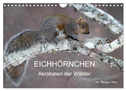 EICHHÖRNCHEN (Wandkalender 2024 DIN A4 quer), CALVENDO Monatskalender