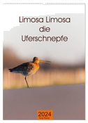 Limosa Limosa die Uferschnepfe (Wandkalender 2024 DIN A2 hoch), CALVENDO Monatskalender