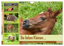 Die lieben Kleinen ... Tierkinder einfach zum Knuddeln (Wandkalender 2025 DIN A4 quer), CALVENDO Monatskalender