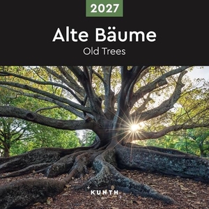 Alte Bäume - KUNTH Broschurkalender 2027 - Farbenprächtiger Wandkalender mit Monatskalendarium für Notizen. Kunth GmbH Kalender, 2026.