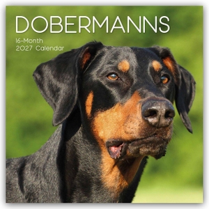 Gifted Stationery Co. Ltd. Dobermans - Dobermann 2027 - 16-Monatskalender - Original Gifted Stationery-Kalender [Mehrsprachig] [Kalender]. Browntrout Verlags GmbH, 2026.