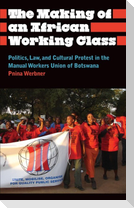 The Making of an African Working Class