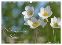 Naturwunder Blüten (Wandkalender 2025 DIN A3 quer), CALVENDO Monatskalender