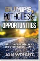 Bumps, Potholes & Opportunities