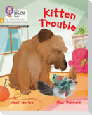 Kitten Trouble