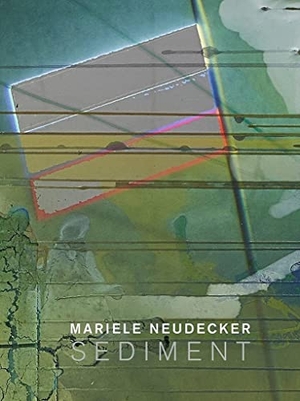 Neudecker, Mariele / McCarthy, Úna et al. Mariele Neudecker - Sediment. Anomie Publishing, 2021.