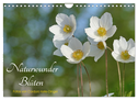 Naturwunder Blüten (Wandkalender 2025 DIN A4 quer), CALVENDO Monatskalender