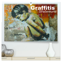 Graffitis ¿ Straßenkunst (hochwertiger Premium Wandkalender 2024 DIN A2 quer), Kunstdruck in Hochglanz