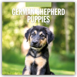 Red, Robin. German Shepherd Puppies - Deutsche Schäferhunde Welpen 2027 - 16-Monatskalender - Original Red Robin Publishing Ltd-Kalender [Mehrsprachig] [Kalender]. Browntrout Verlags GmbH, 2026.