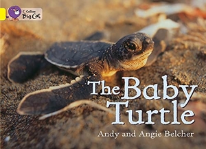 Belcher, Andy / Angie Belcher. The Baby Turtle - Band 03/Yellow. HarperCollins UK, 2012.