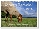 Coburger Fuchsschaf (Wandkalender 2025 DIN A3 quer), CALVENDO Monatskalender