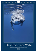Im Reich der Wale (Wandkalender 2025 DIN A4 hoch), CALVENDO Monatskalender