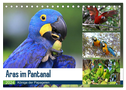 Aras im Pantanal (Tischkalender 2024 DIN A5 quer), CALVENDO Monatskalender