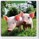 Pigs & Piglets - Schweine & Ferkel 2027 - 16-Monatskalender