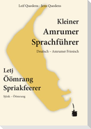 Kleiner Amrumer Sprachführer / Letj Öömrang Spriakfeerer