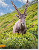 Tiere der Alpen - Kalender 2027