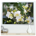 Schönste Orchideen (hochwertiger Premium Wandkalender 2025 DIN A2 quer), Kunstdruck in Hochglanz