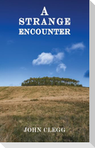 A Strange Encounter