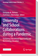 University and School Collaborations during a Pandemic