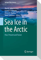 Sea Ice in the Arctic