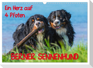 Ein Herz auf 4 Pfoten - Berner Sennenhund (Wandkalender 2024 DIN A3 quer), CALVENDO Monatskalender