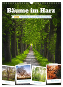 Bäume im Harz (Wandkalender 2025 DIN A3 hoch), CALVENDO Monatskalender