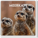 Meerkats - Erdmännchen 2027 - 16-Monatskalender